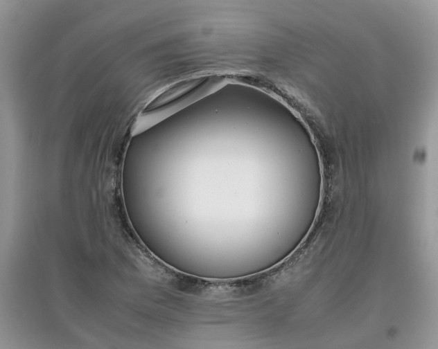 X0000097641169200803142040