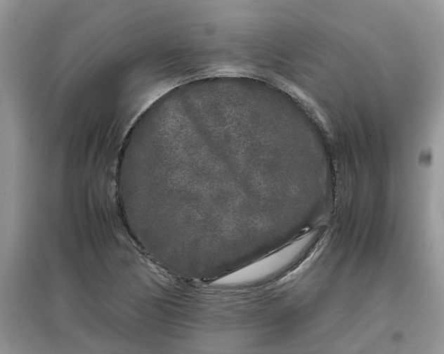 X0000097641170200803142040