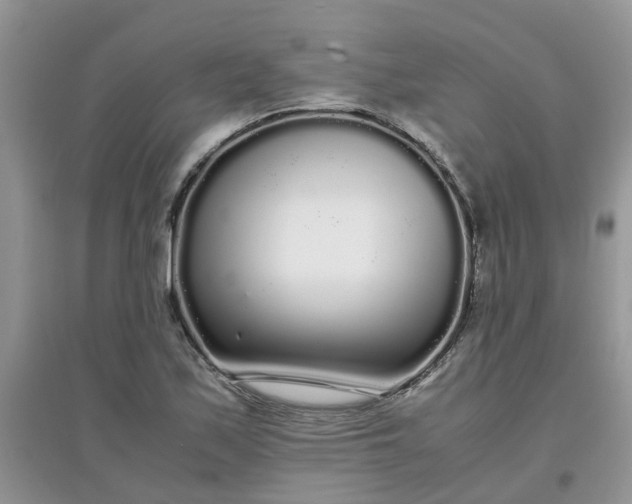 X0000097641171200803142040