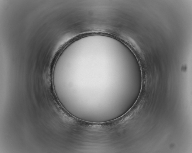 X0000097641172200803142040