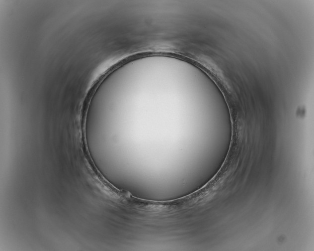 X0000097641176200803142040