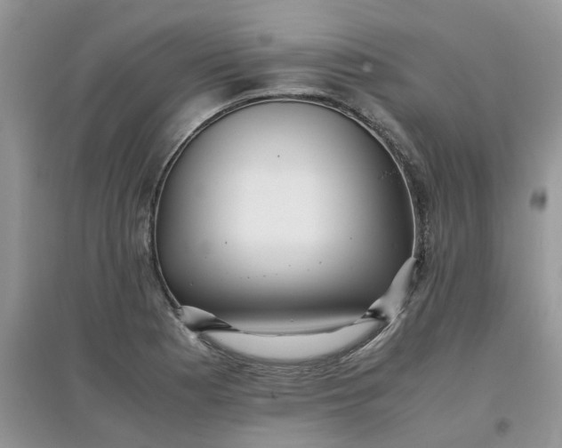 X0000097641177200803142040