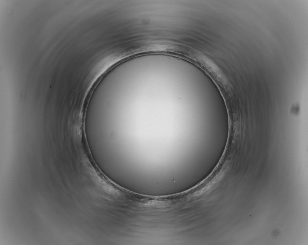 X0000097641178200803142040