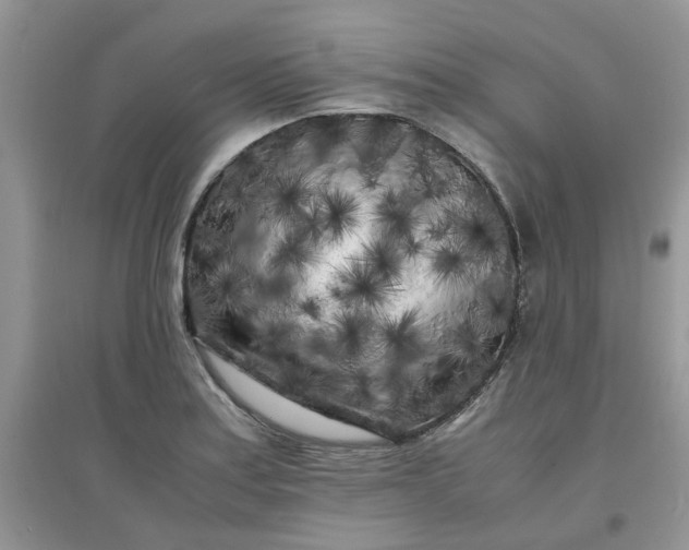 X0000097641179200803142040