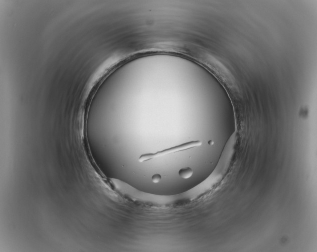 X0000097641180200803142040