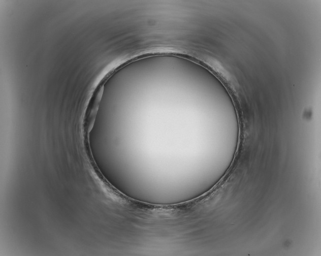 X0000097641181200803142040