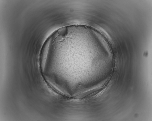 X0000097641182200803142040