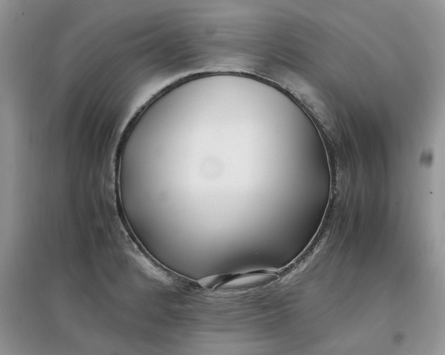 X0000097641184200803142040