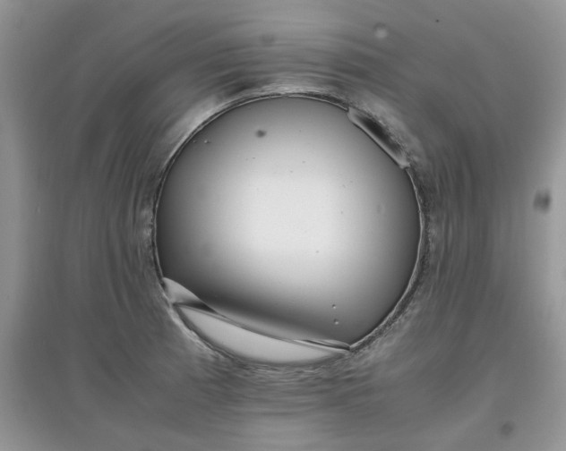 X0000097641185200803142040