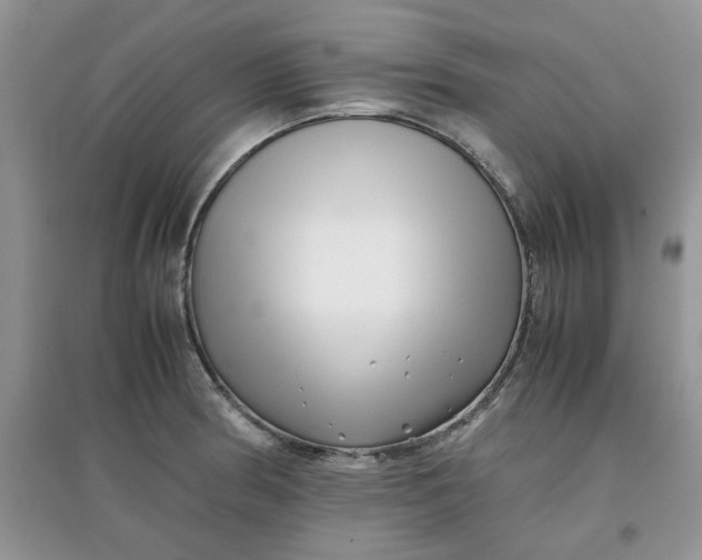 X0000097641186200803142040