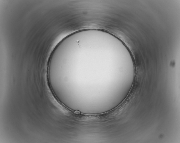 X0000097641187200803142040