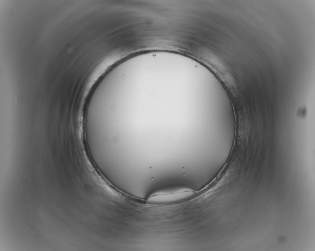 X0000097641188200803142040