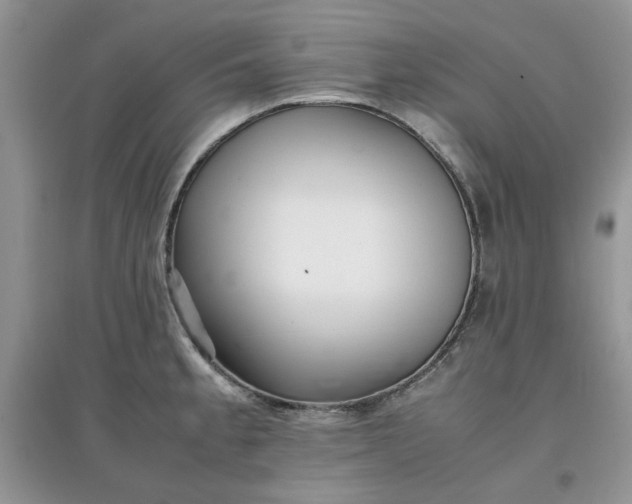 X0000097641189200803142040