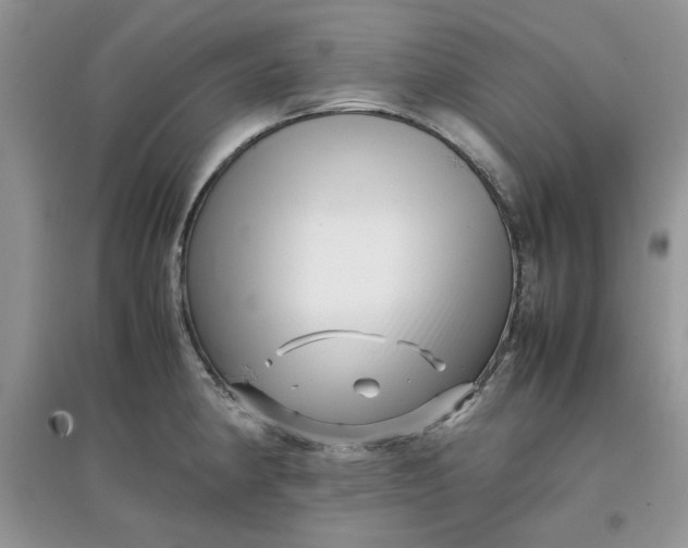 X0000097641190200803142040