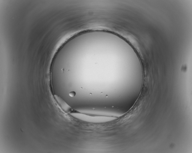 X0000097641191200803142040