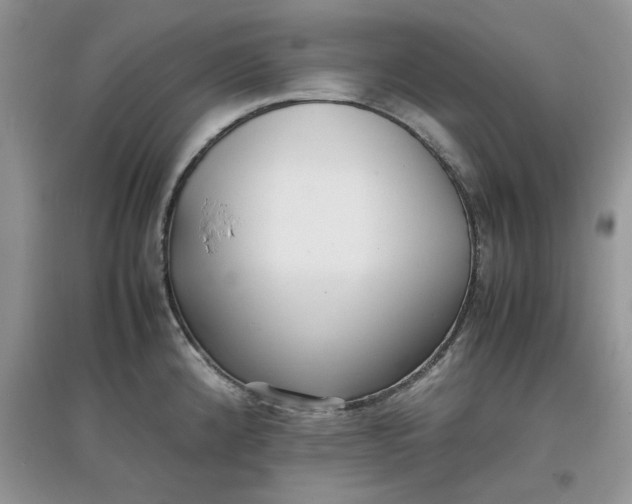 X0000097641192200803142040