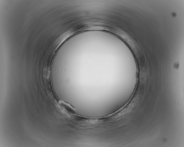 X0000097641193200803142040