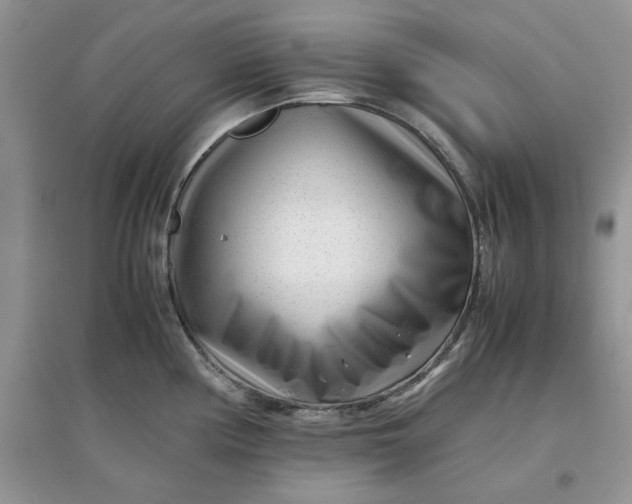 X0000097641194200803142040