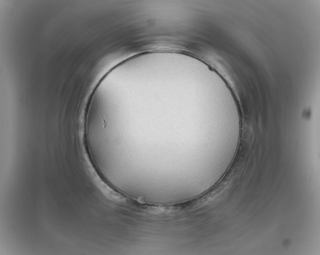 X0000097641195200803142040