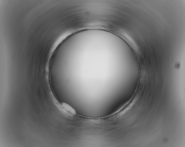 X0000097641196200803142040