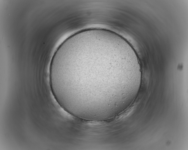 X0000097641199200803142040