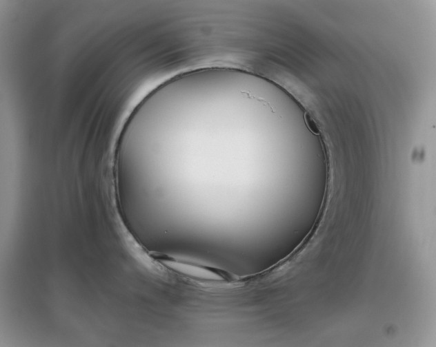 X0000097641200200803142040