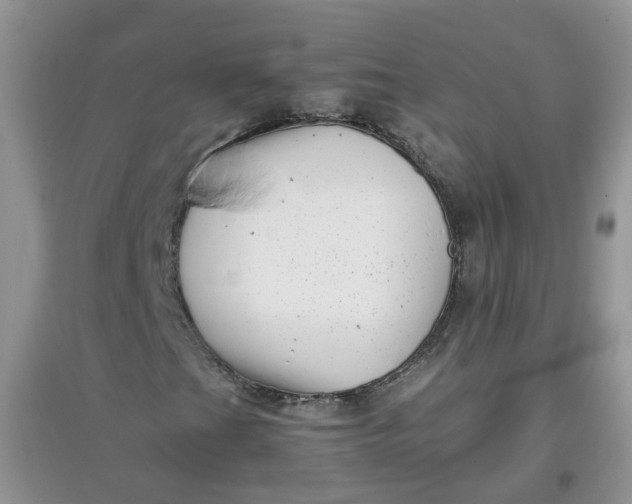 X0000097641201200803142039