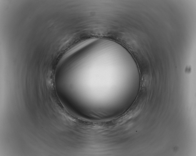 X0000097641202200803142039