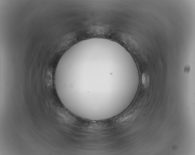 X0000097641203200803142039