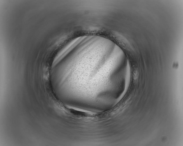 X0000097641204200803142039