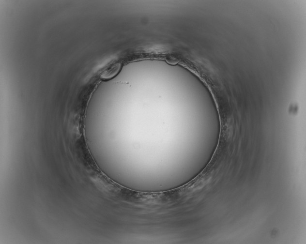 X0000097641205200803142039