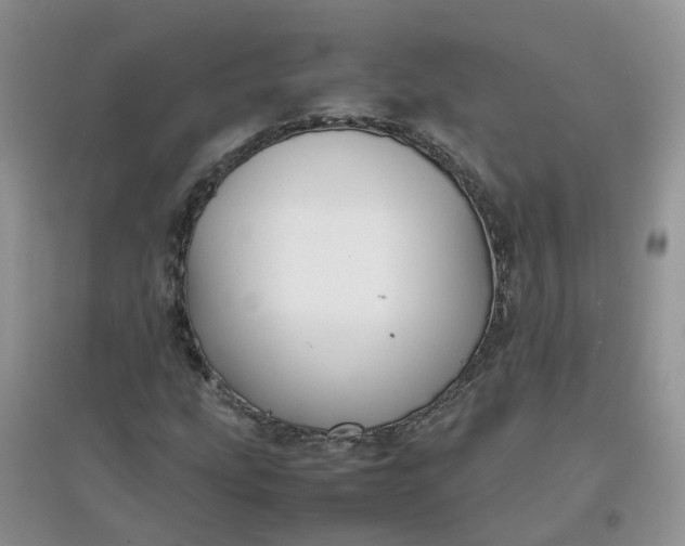 X0000097641207200803142039