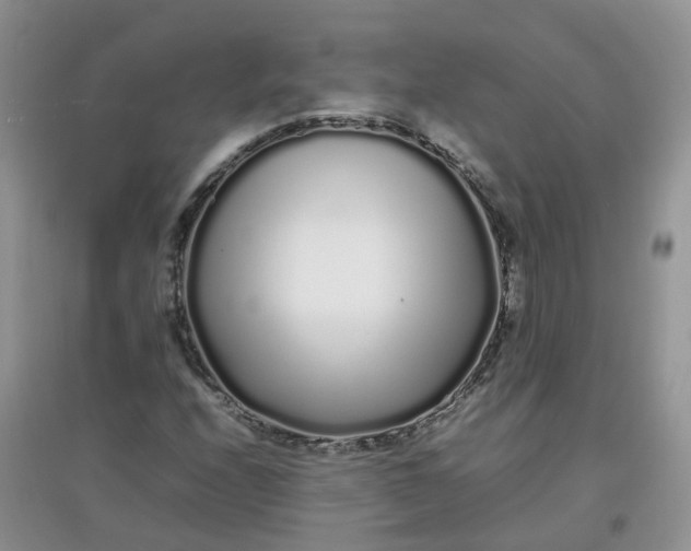 X0000097641208200803142039