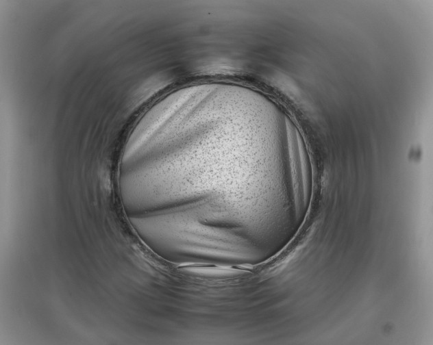 X0000097641209200803142039