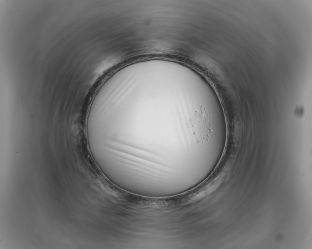 X0000097641210200803142039