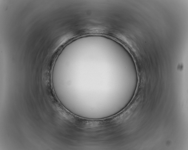 X0000097641211200803142039