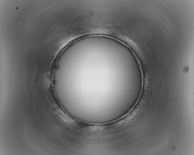 X0000097641212200803142039