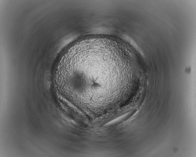 X0000097641213200803142039