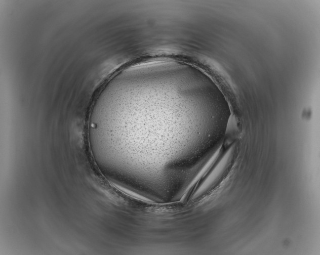 X0000097641217200803142039