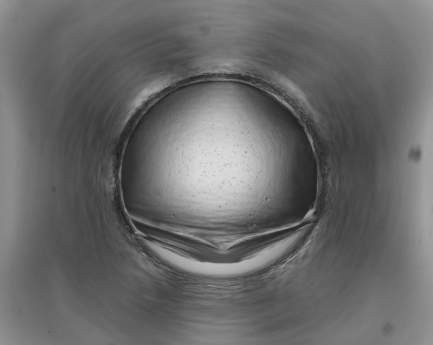 X0000097641218200803142039