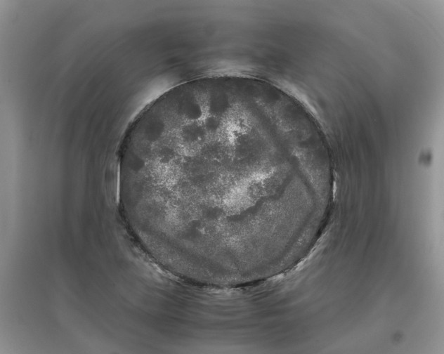 X0000097641219200803142039