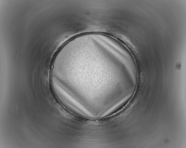 X0000097641220200803142039