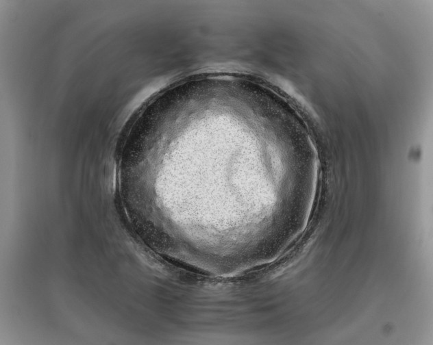 X0000097641221200803142039