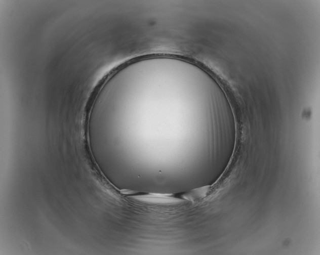 X0000097641222200803142039