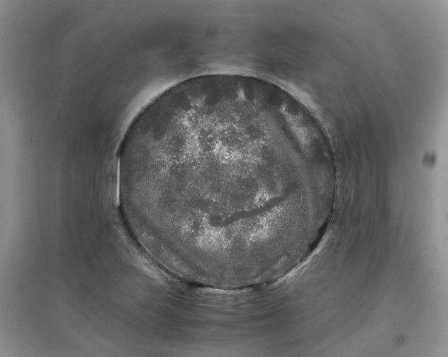 X0000097641223200803142039