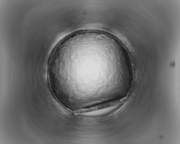 X0000097641224200803142039