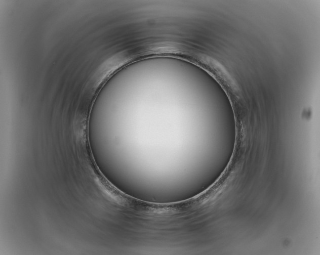 X0000097641225200803142039