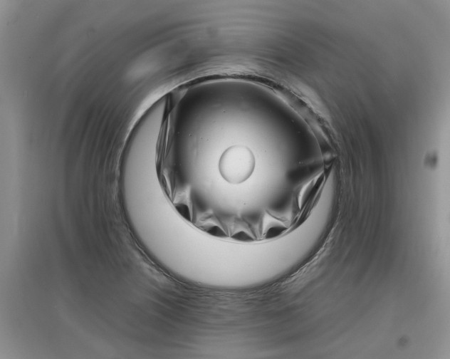 X0000097641226200803142039