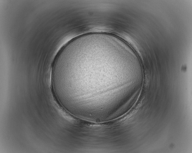 X0000097641227200803142039