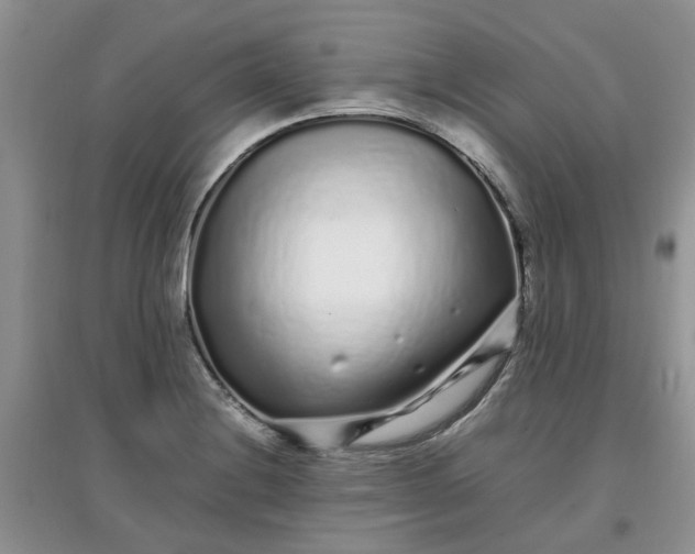 X0000097641228200803142039